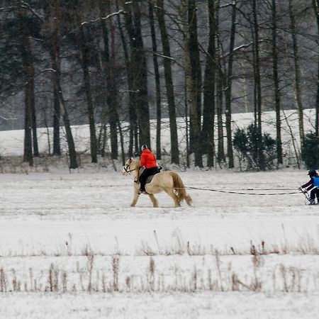 Kolorowe Wzgorze Agroturystyka I Konie Trojanow ภายนอก รูปภาพ