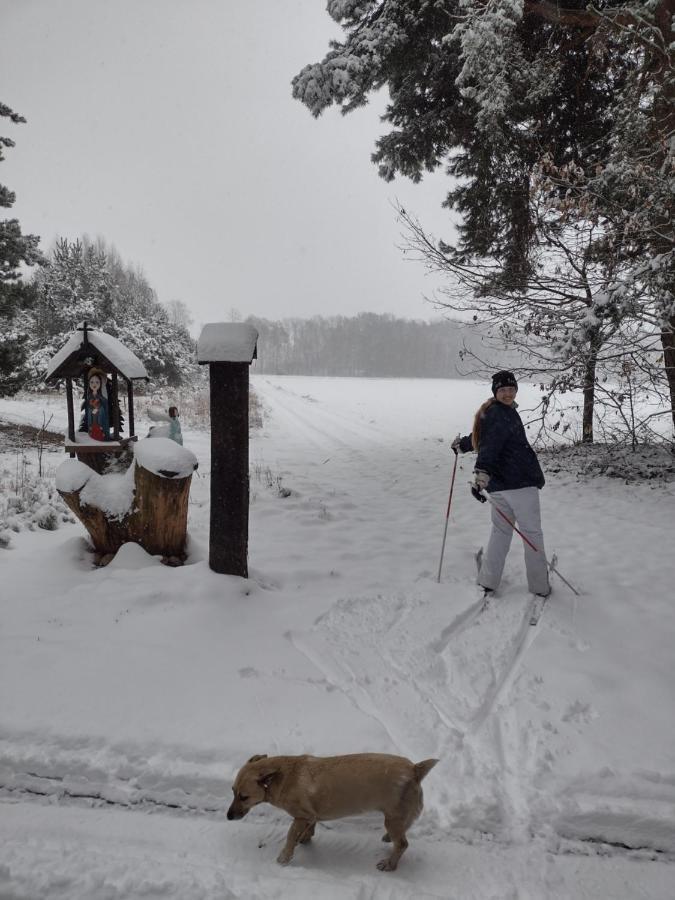 Kolorowe Wzgorze Agroturystyka I Konie Trojanow ภายนอก รูปภาพ