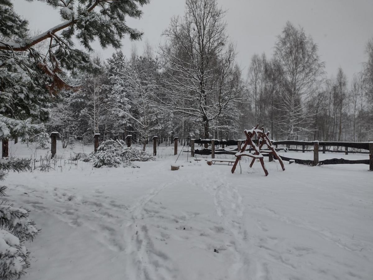 Kolorowe Wzgorze Agroturystyka I Konie Trojanow ภายนอก รูปภาพ