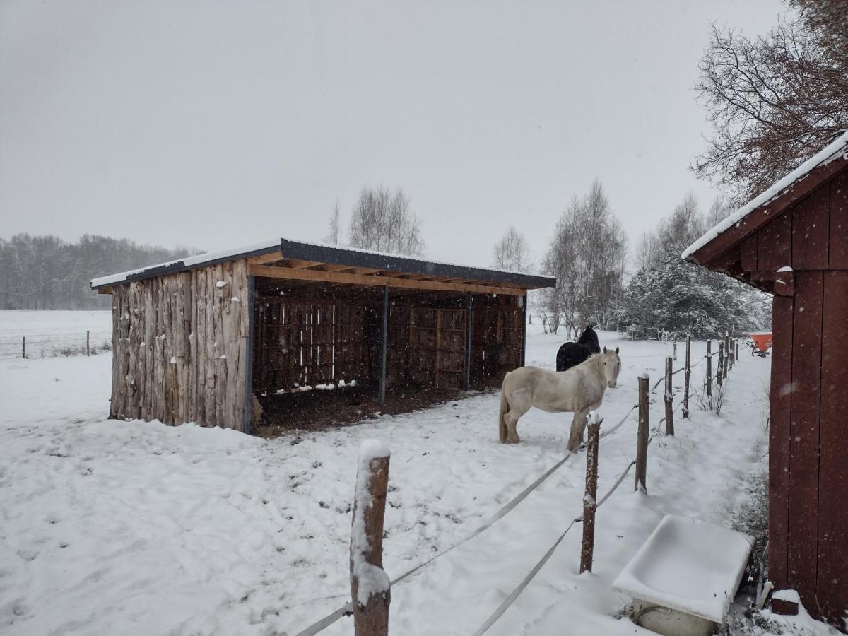 Kolorowe Wzgorze Agroturystyka I Konie Trojanow ภายนอก รูปภาพ