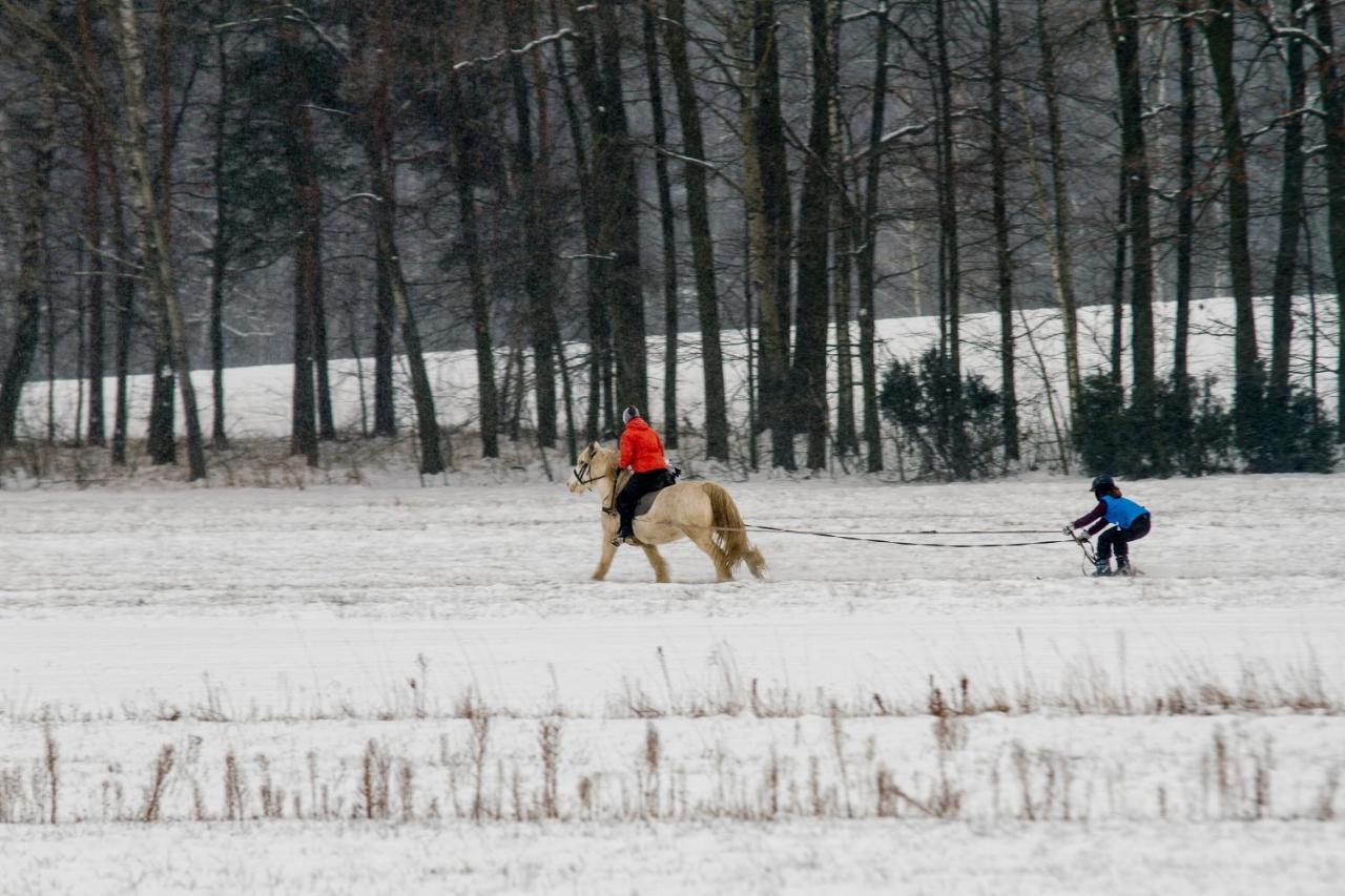 Kolorowe Wzgorze Agroturystyka I Konie Trojanow ภายนอก รูปภาพ