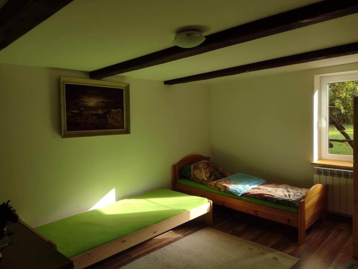 Kolorowe Wzgorze Agroturystyka I Konie Trojanow ภายนอก รูปภาพ