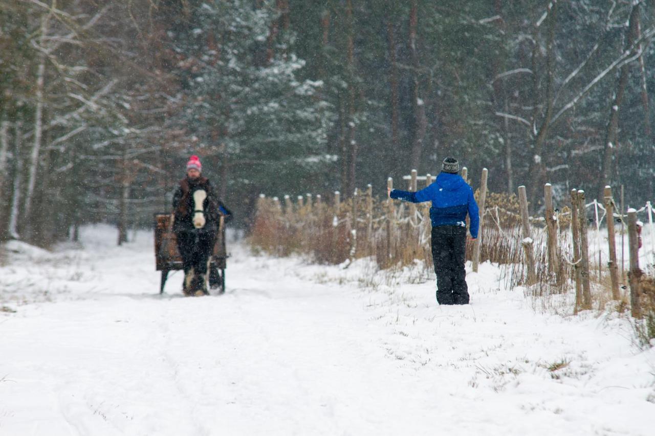 Kolorowe Wzgorze Agroturystyka I Konie Trojanow ภายนอก รูปภาพ
