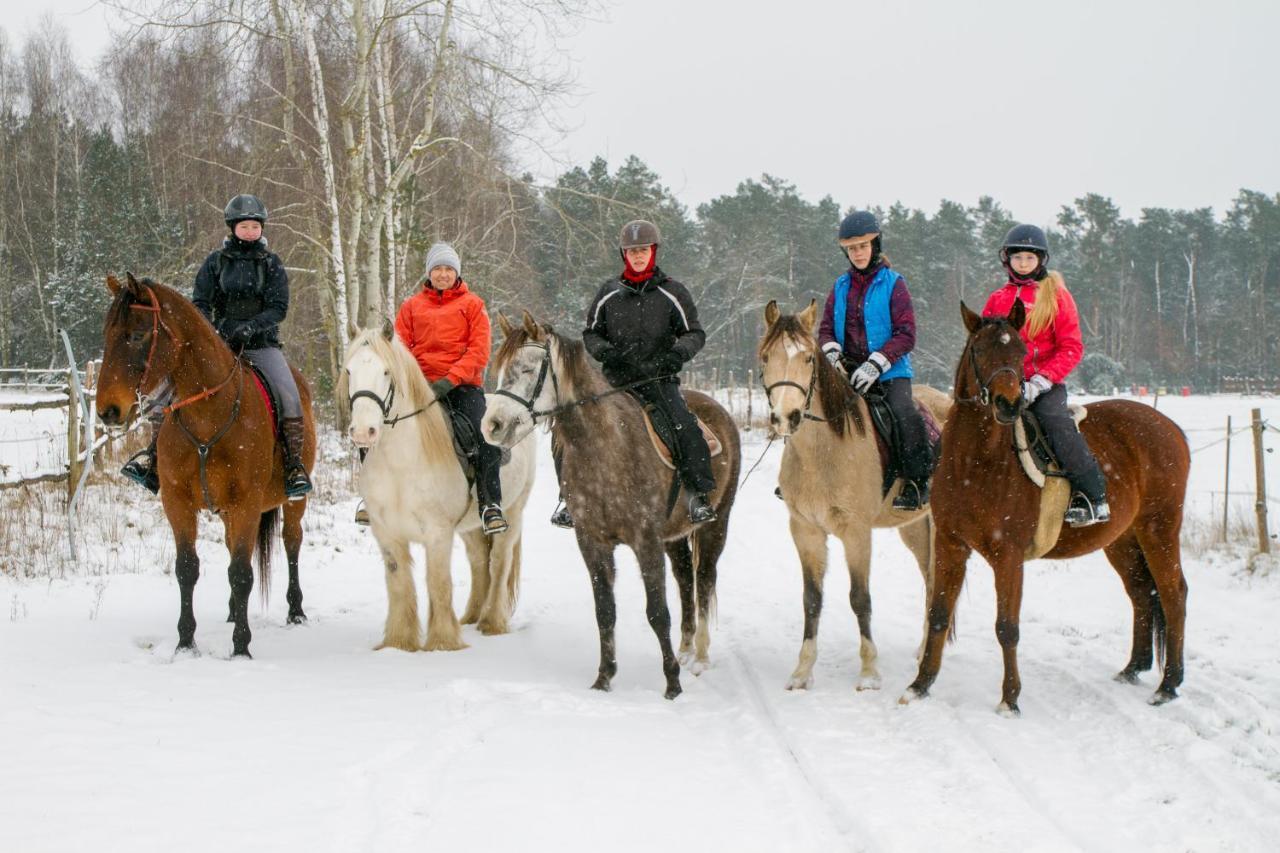 Kolorowe Wzgorze Agroturystyka I Konie Trojanow ภายนอก รูปภาพ