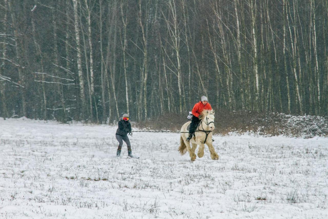 Kolorowe Wzgorze Agroturystyka I Konie Trojanow ภายนอก รูปภาพ