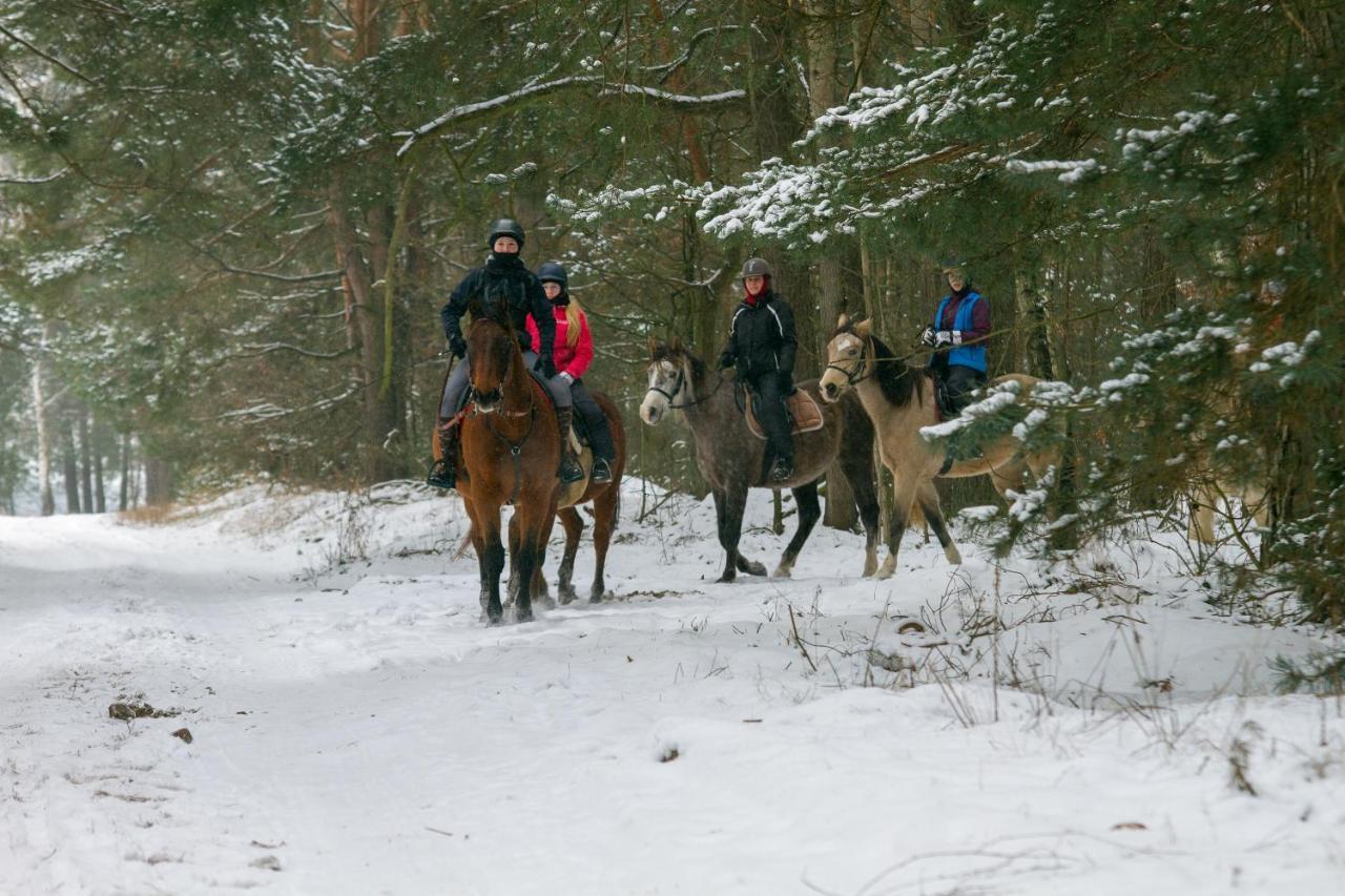 Kolorowe Wzgorze Agroturystyka I Konie Trojanow ภายนอก รูปภาพ