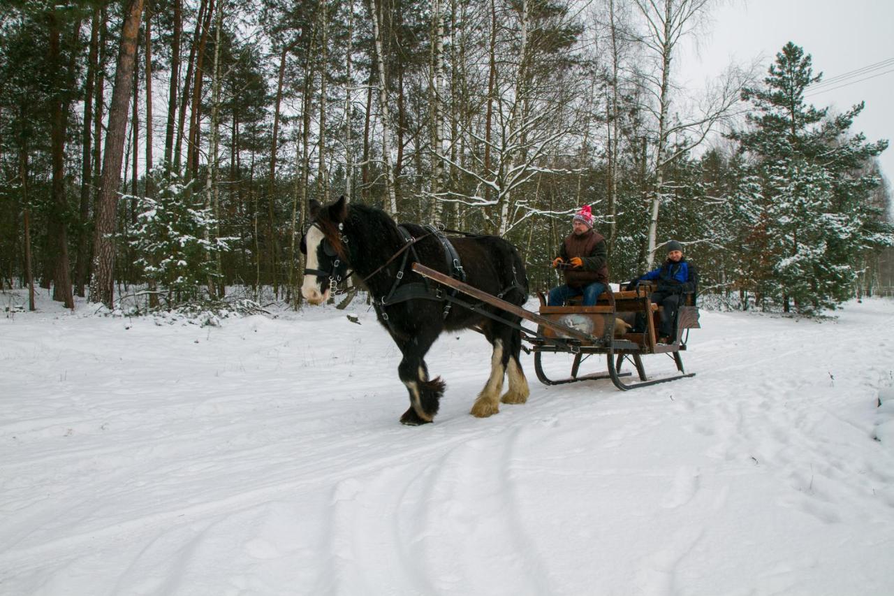 Kolorowe Wzgorze Agroturystyka I Konie Trojanow ภายนอก รูปภาพ