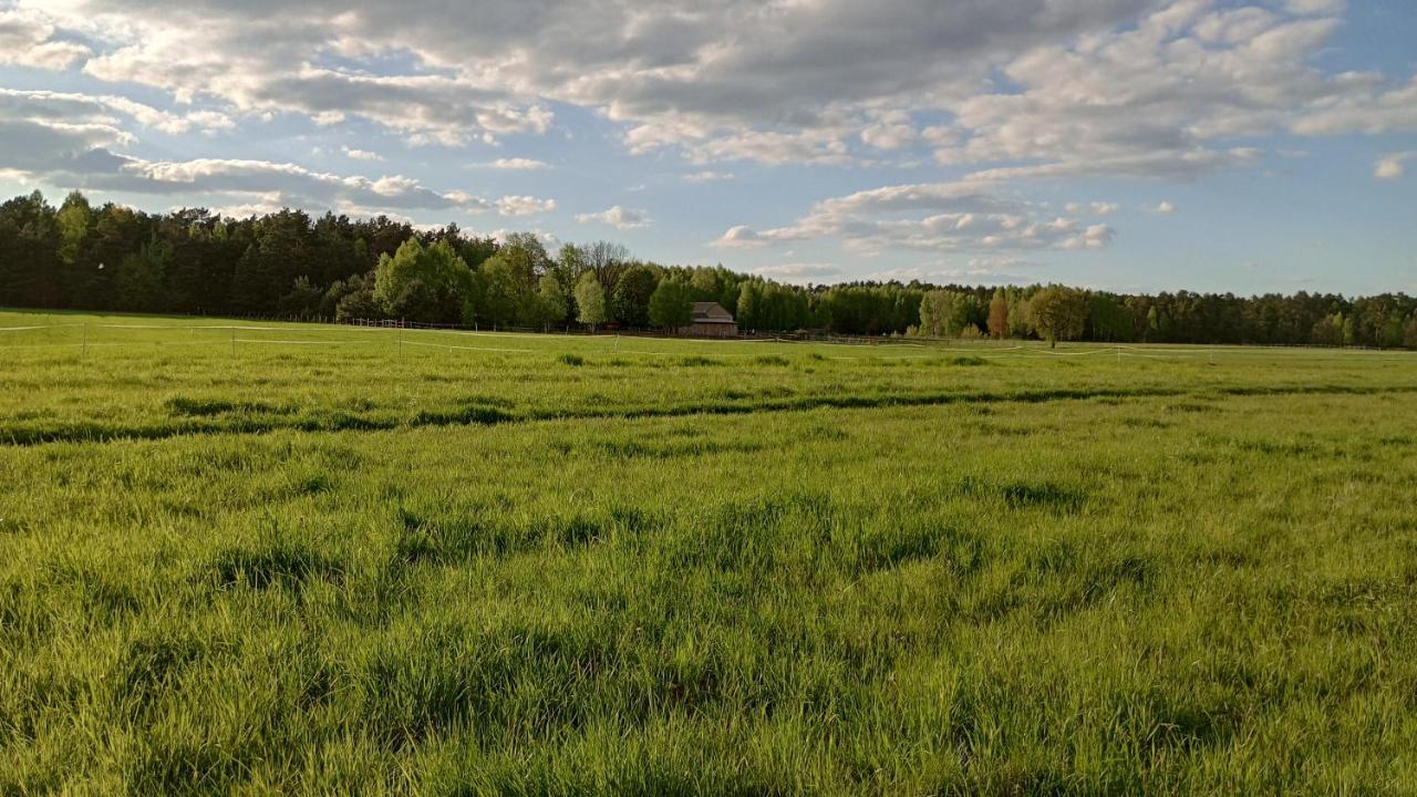 Kolorowe Wzgorze Agroturystyka I Konie Trojanow ภายนอก รูปภาพ