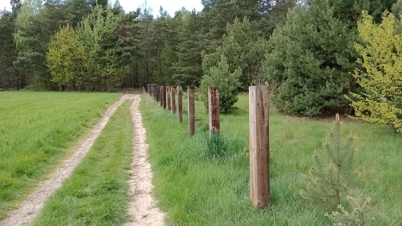 Kolorowe Wzgorze Agroturystyka I Konie Trojanow ภายนอก รูปภาพ